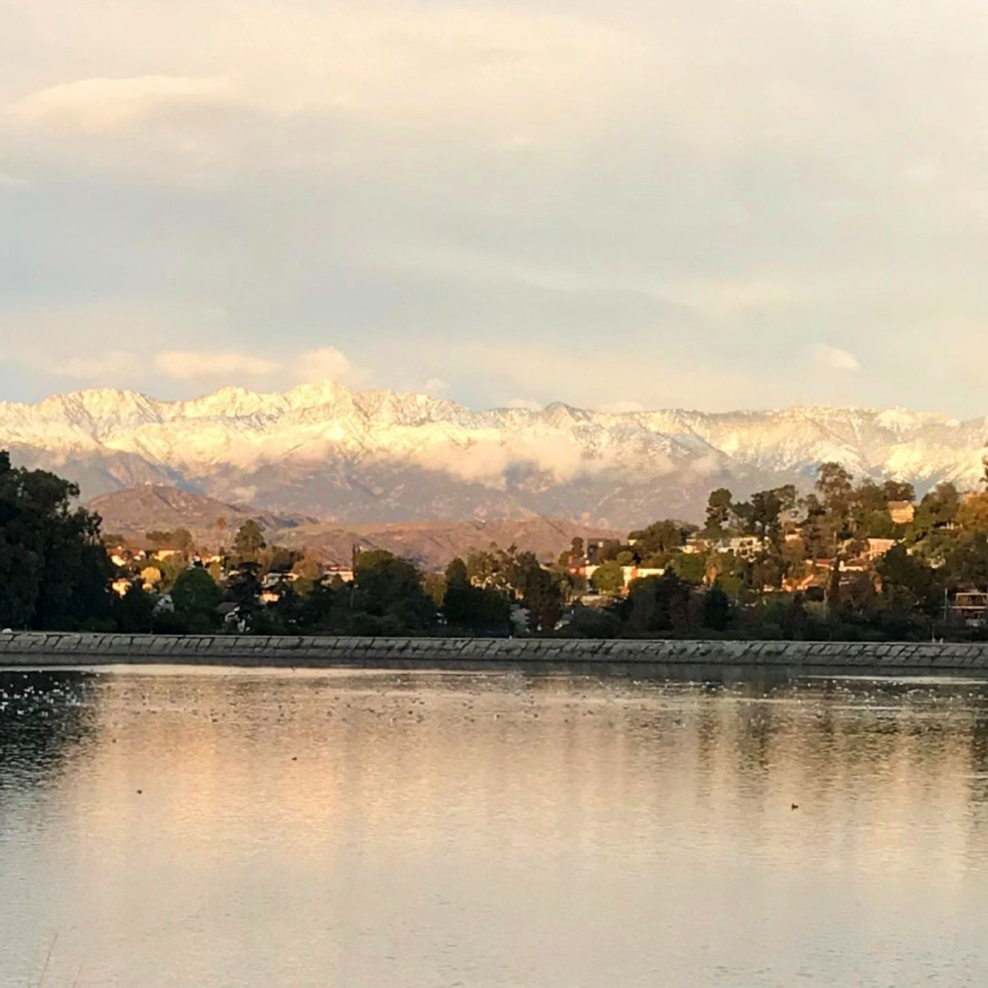 Winter wonderland view